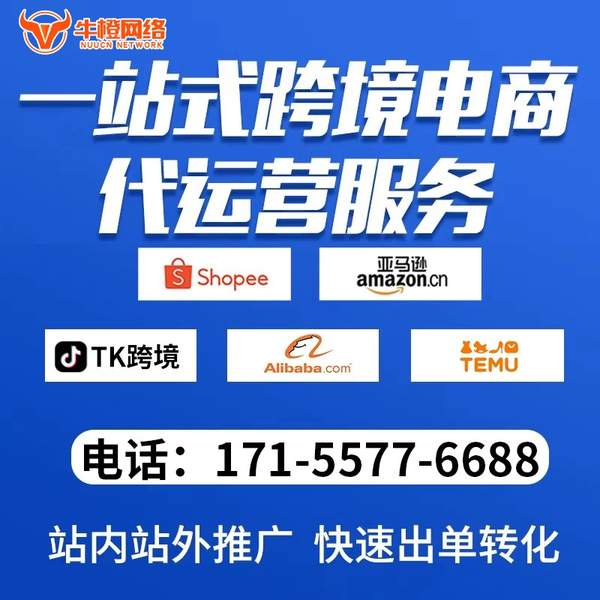 杭州电商代运营
